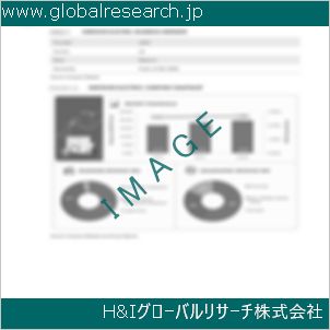 グローバルリサーチ調査資料のイメージ